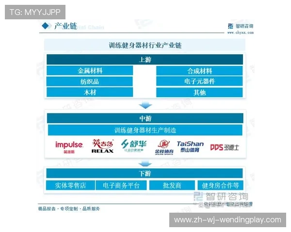 高端健身器材市场的未来发展方向