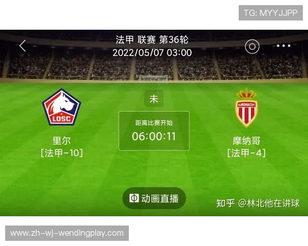 法甲球队整体赛季表现评分及高低差异分析